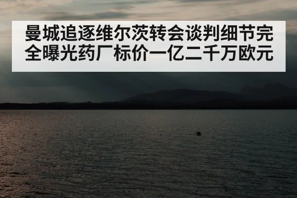 曼城追逐维尔茨转会谈判细节完全曝光药厂标价一亿二千万欧元
